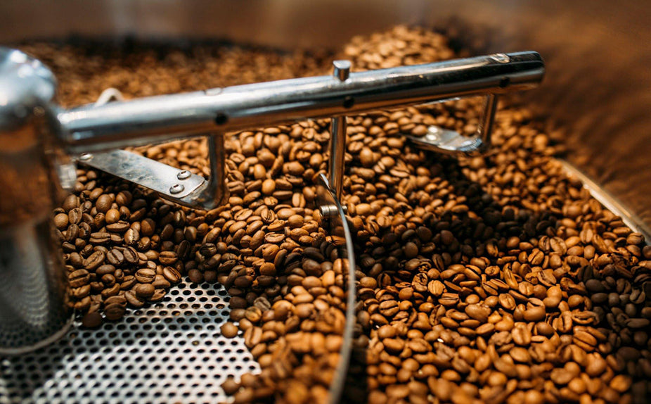 From Vietnam to Melbourne – Building a Sustainable Coffee Supply Chain