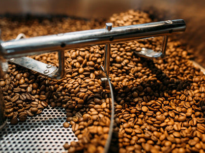From Vietnam to Melbourne – Building a Sustainable Coffee Supply Chain