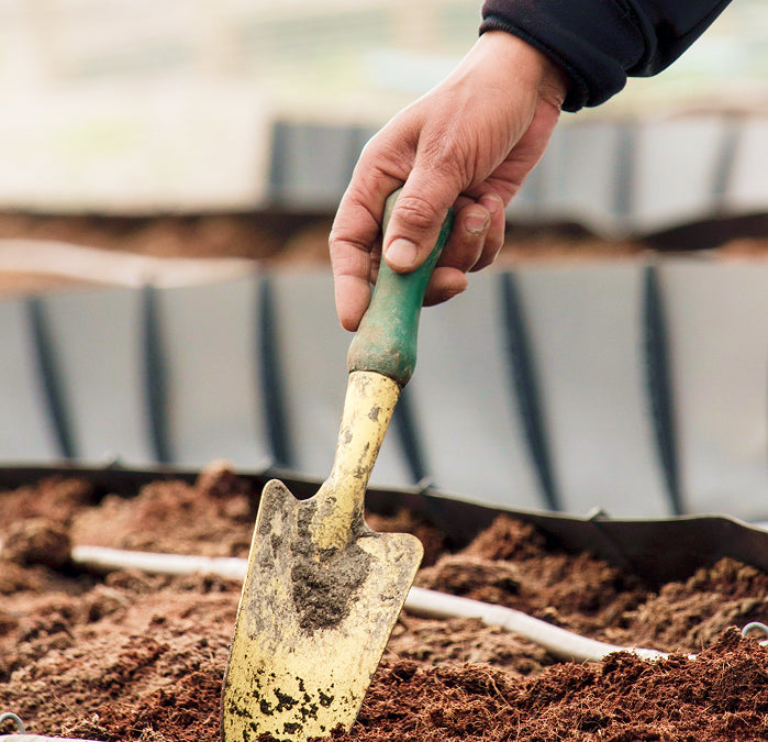 Agriculture Soil